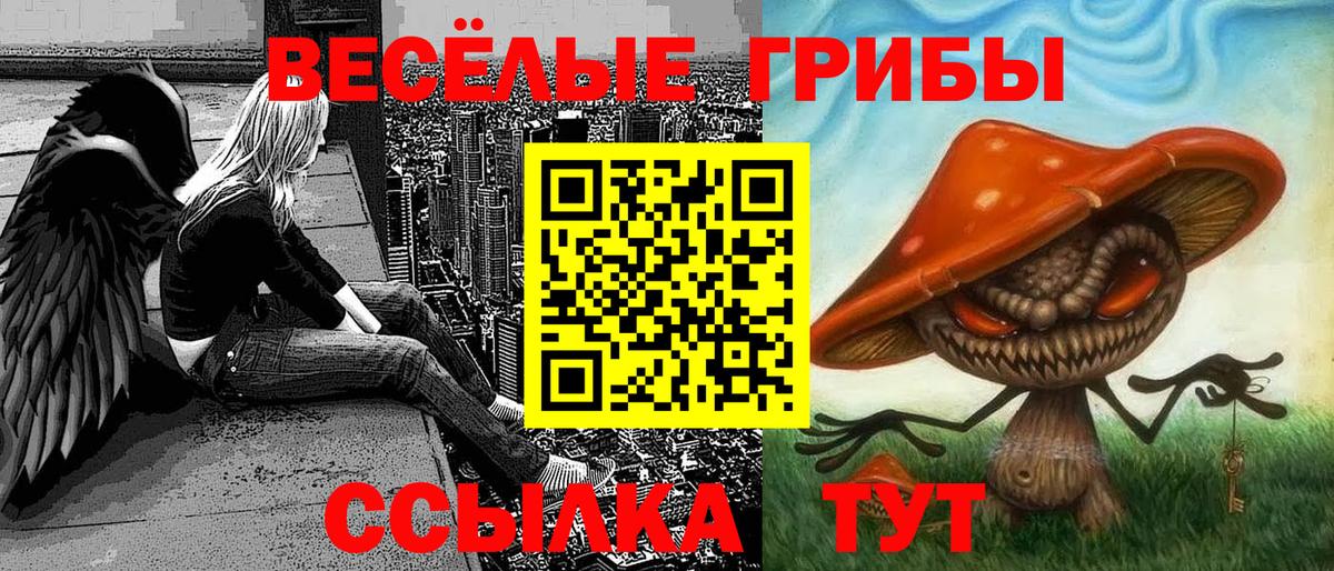 Галлюциногенные грибы мухоморы Черногорск