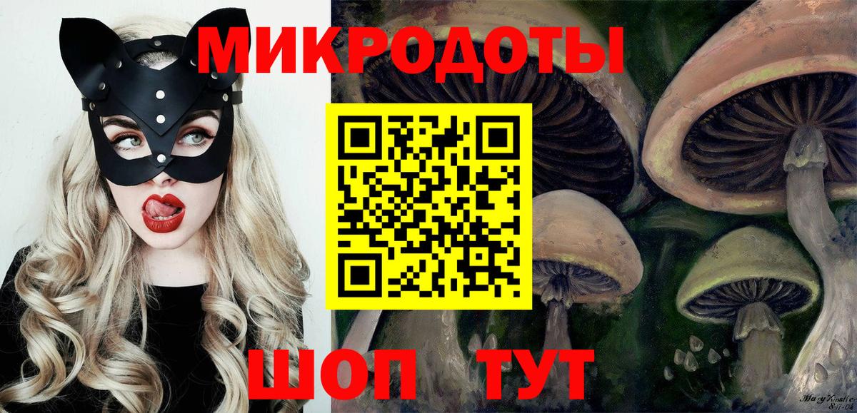Псилоцибиновые грибы Черногорск